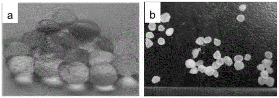 Preparation method of urea-wrapped cellulose-based super absorbent resin