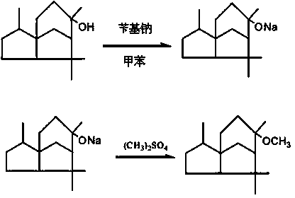 Method for preparing methyl cedryl ether from Chinese fir oil