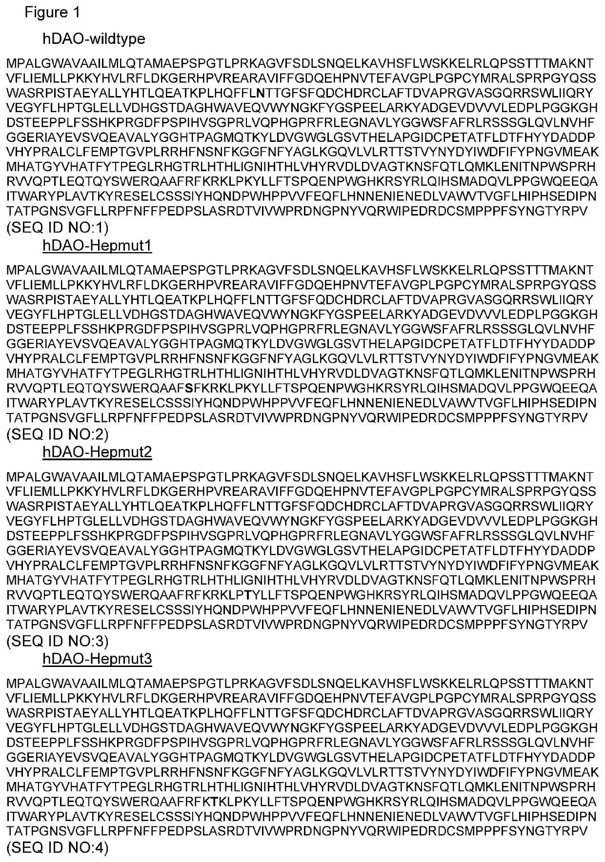 New recombinant diamine oxidase and its use for the treatment of diseases characterized by excess histamine