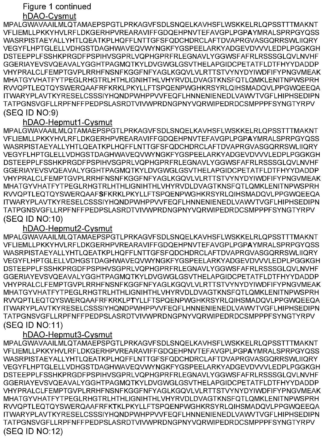 New recombinant diamine oxidase and its use for the treatment of diseases characterized by excess histamine