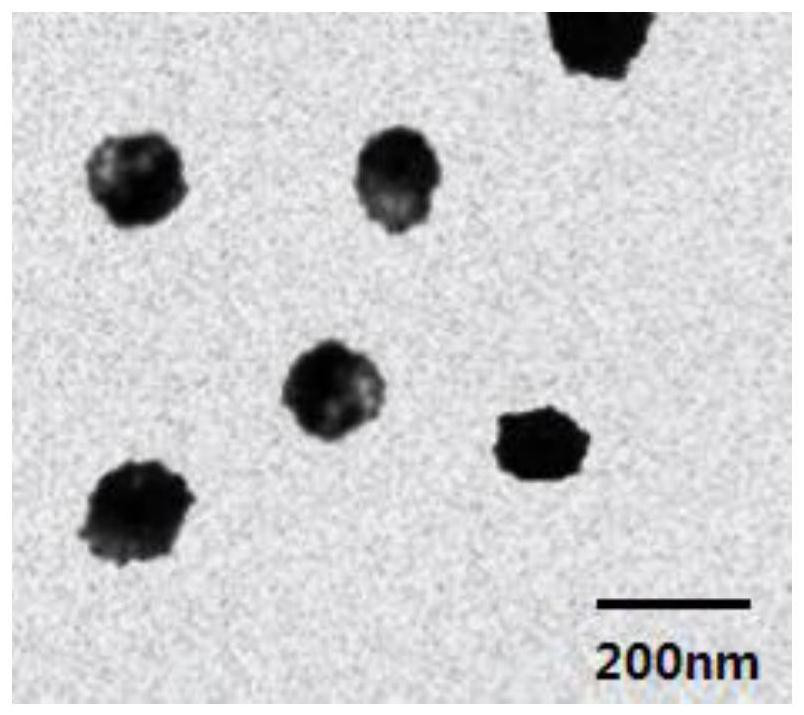 Cationic liposome nanoparticles co-loaded with HBx-siRNA and schisandra chinensis oil as well as preparation method and application thereof