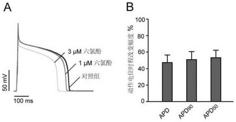 Application of hexachlorophenol in the preparation of voltage-gated potassium channel agonists