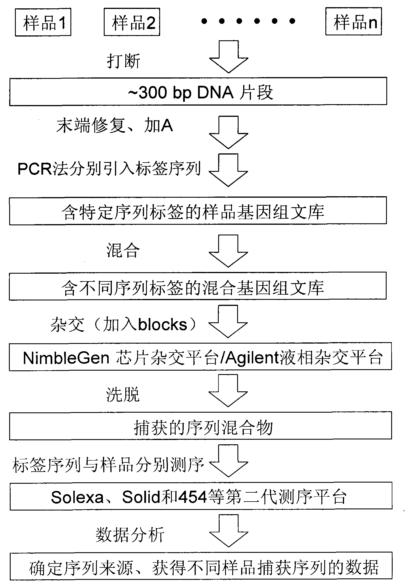 Method for building sequencing library by hybridization