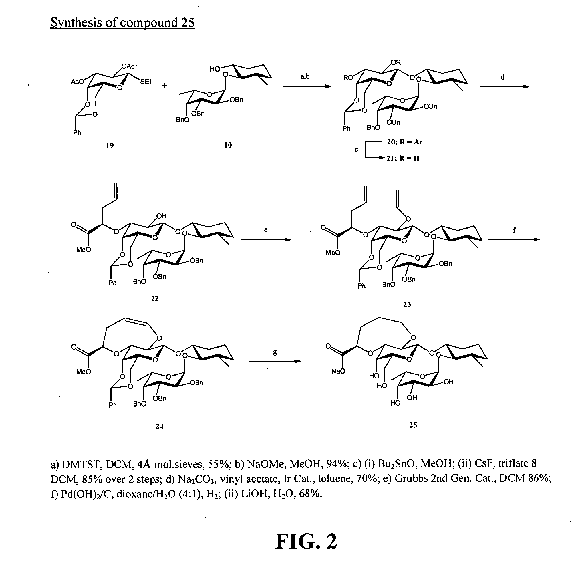 E-Selectin Antagonists Modified By Macrocycle Formation to the Galactose