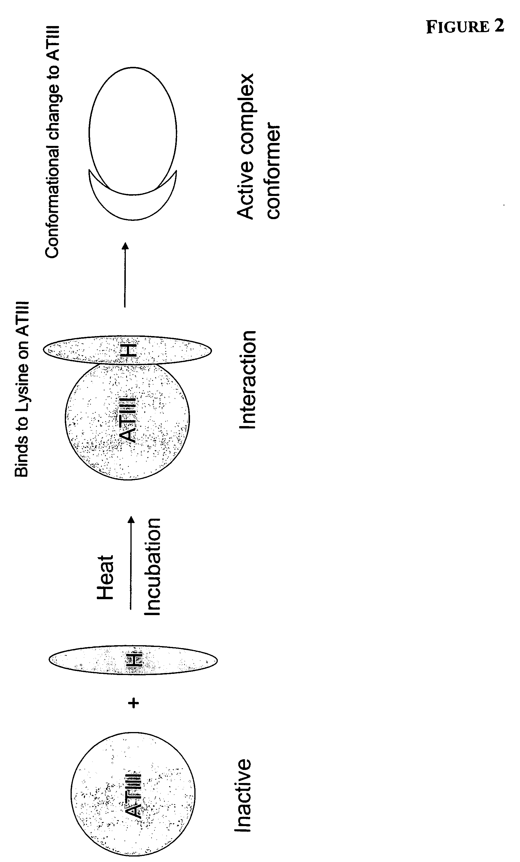 Method of reducing viral load