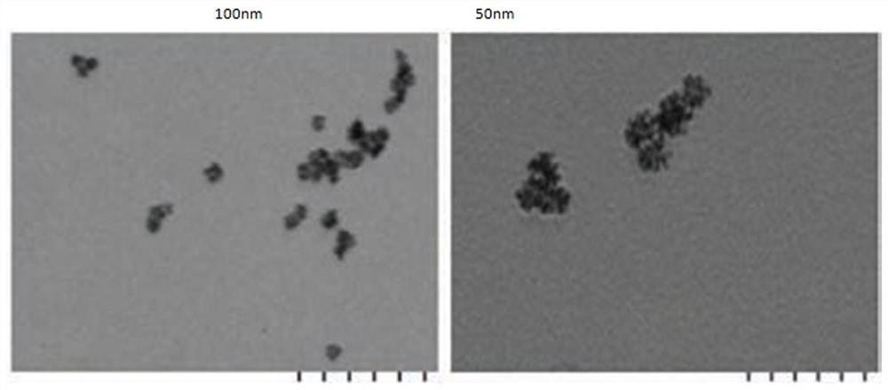 Novel coronavirus detection kit as well as detection method and application thereof