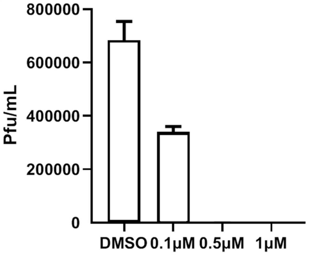 Application of small molecule compound in preparation of medicine for preventing or treating pebrine