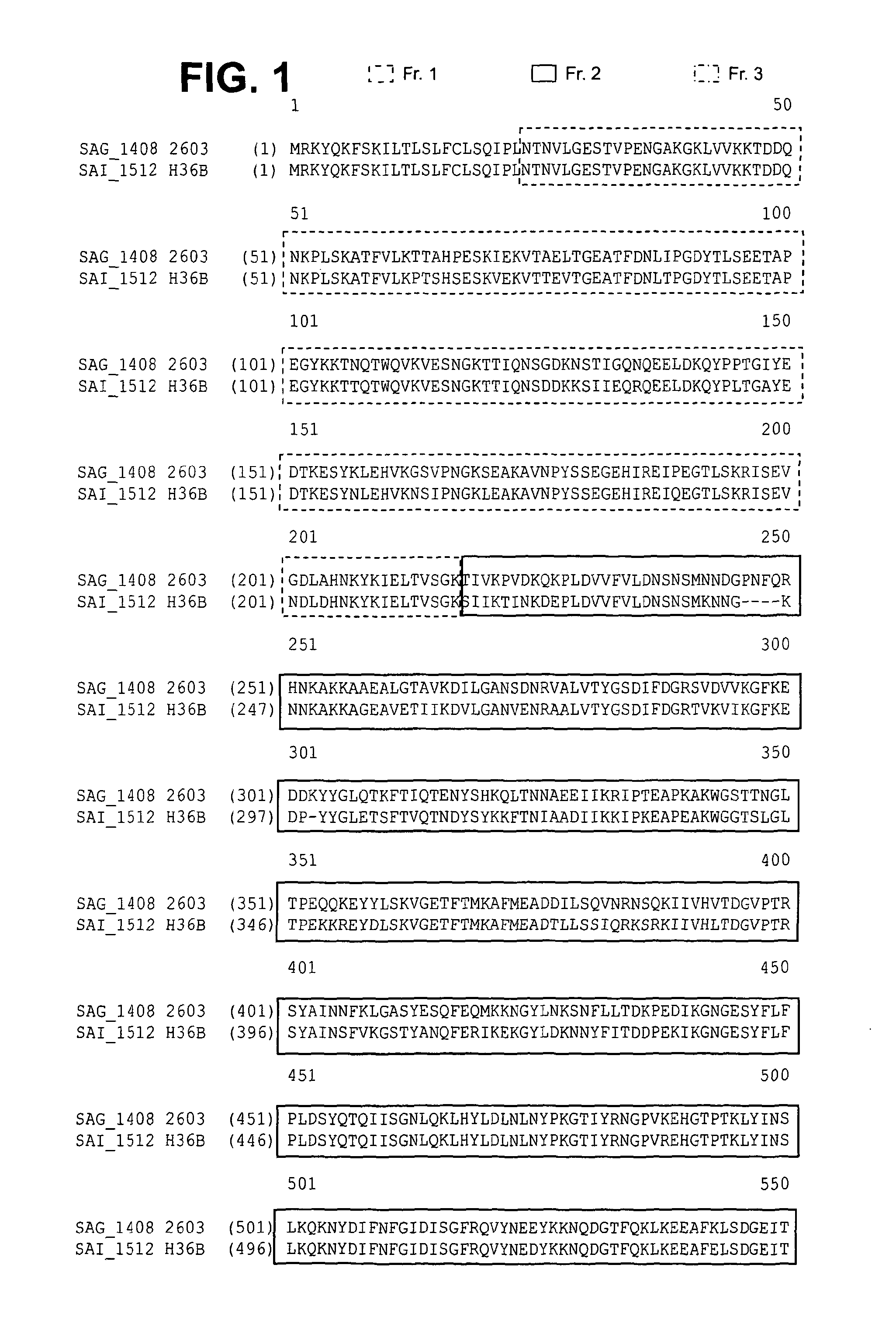 Immunogenic proteins and compositions