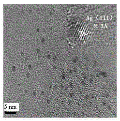 A rapid method for preparing silver nanoclusters with strong fluorescence emission