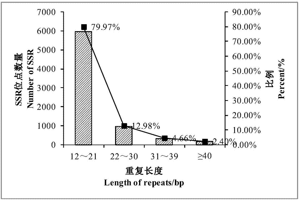 Sorbus pohuashanensis EST-SSR markers, primer pairs thereof and application