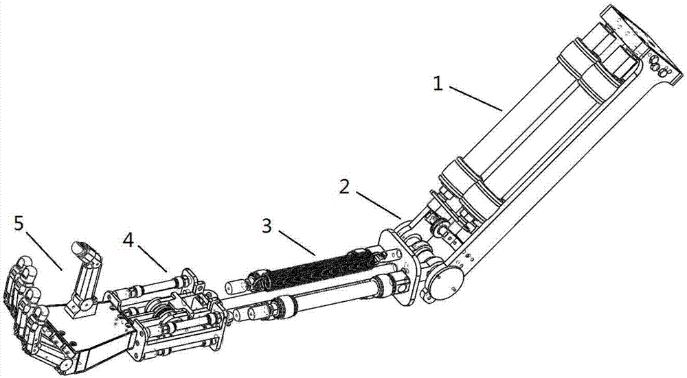 Pneumatic artificial muscle driven bionic arm