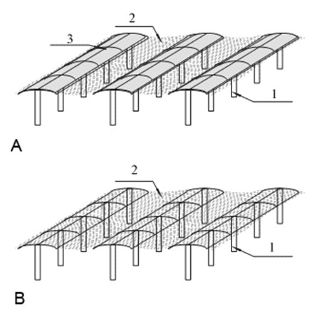 Grape sunshade cultivation technique