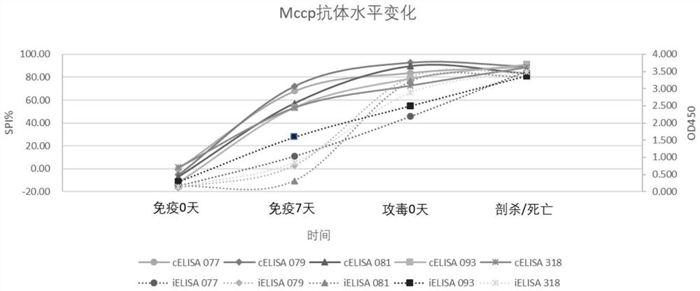 An ielisa method for screening seronegative sheep of Mycoplasma ovine pneumonia and Mycoplasma capricolum subspecies cape pneumonia