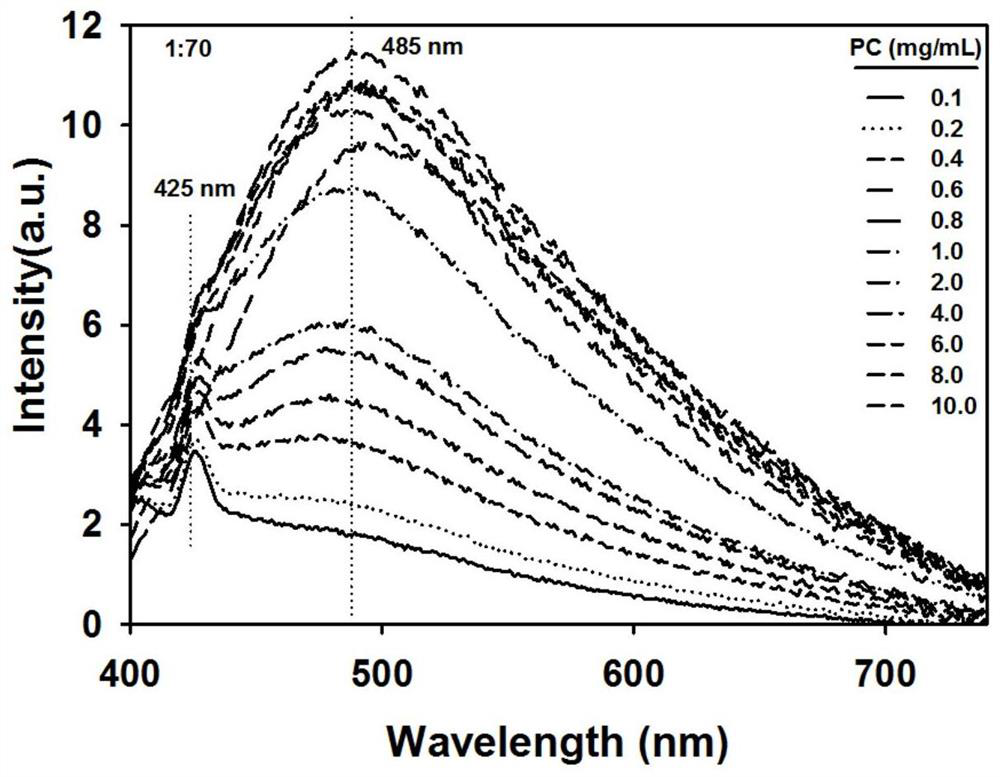 Preparation and testing method of a non-conjugated fluorescent polymer