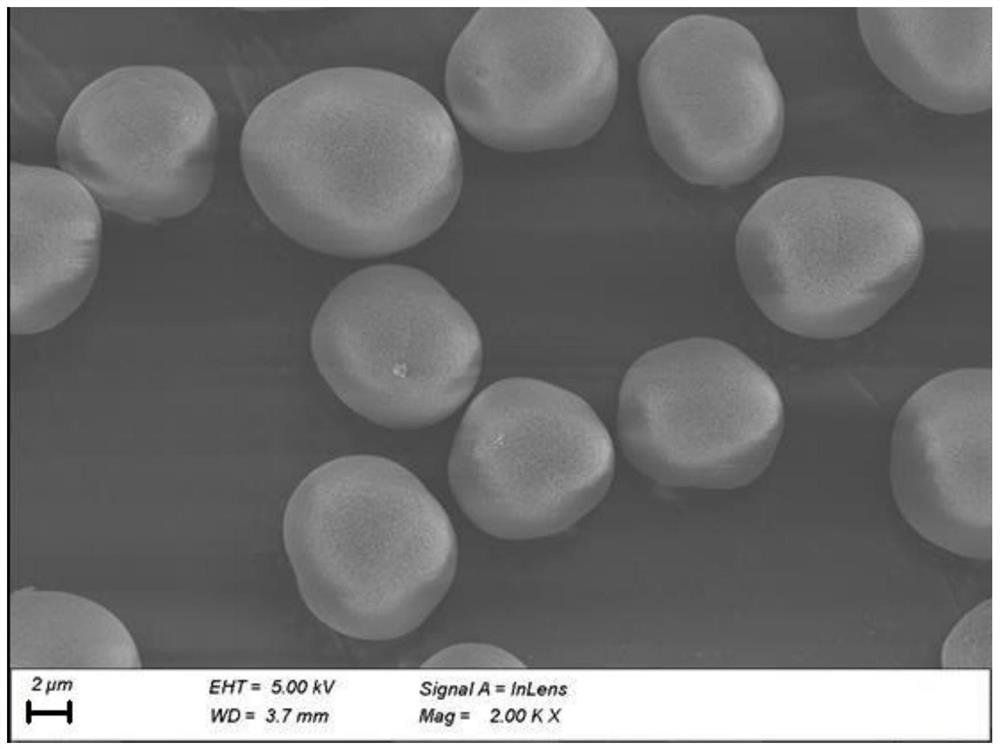 Cobalt-free lithium-rich positive electrode material, and preparation method and application thereof