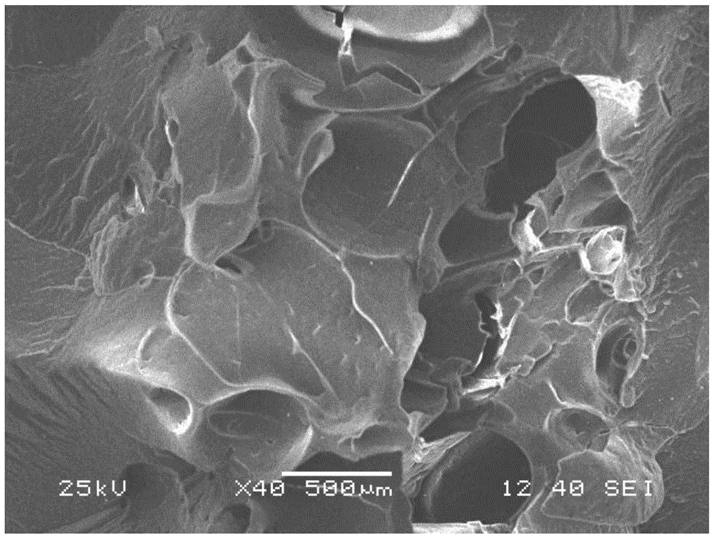 Water foaming injection method using superabsorbent resin as carrier