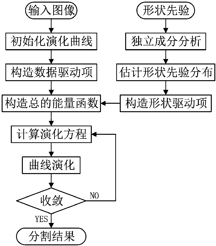 Multi-shape-prior level set independent component analysis method and image partitioning system