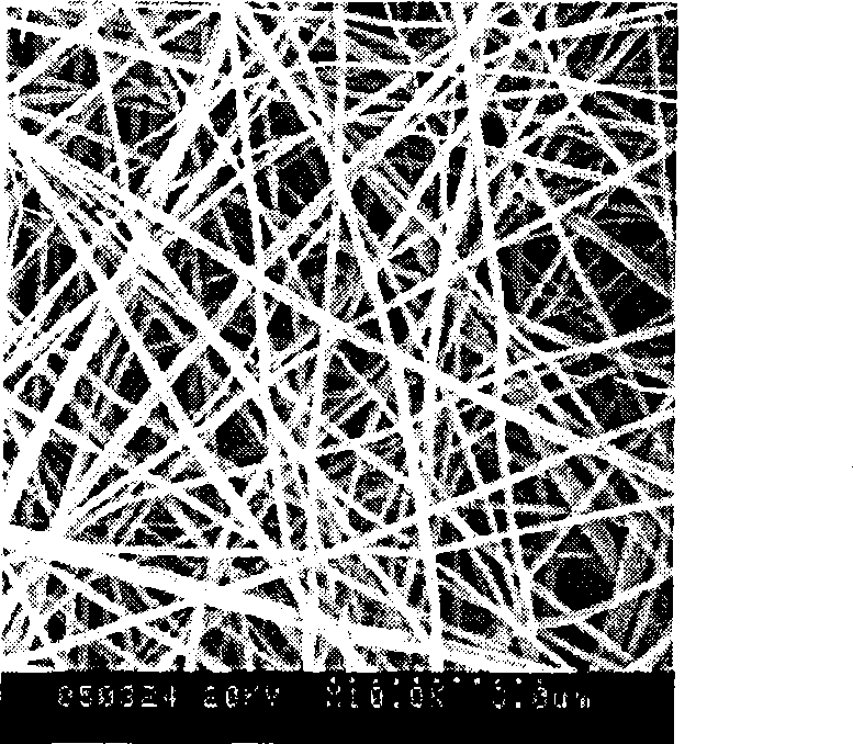 Cell culturing rack material and its preparation