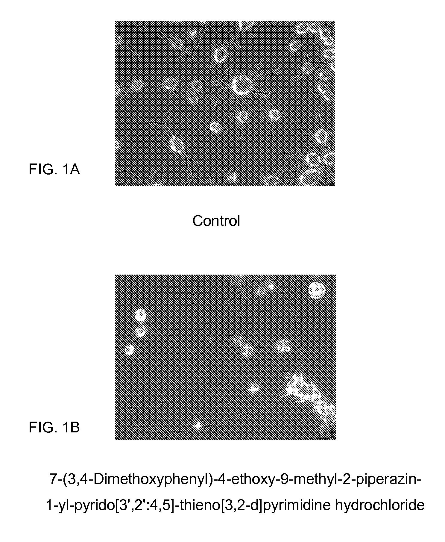 Substituted pyrido [3′, 2′: 4, 5] thieno [3, 2-D] pyrimidines and pyrido [3′, 2′: 4, 5] furo [3, 2-D] pyrimidines used as inhibitors of the PDE-4 and/or the release of TNF-ALPHA