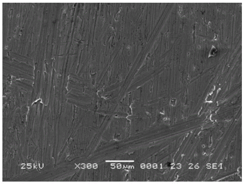 Polishing method for surface of metal plate