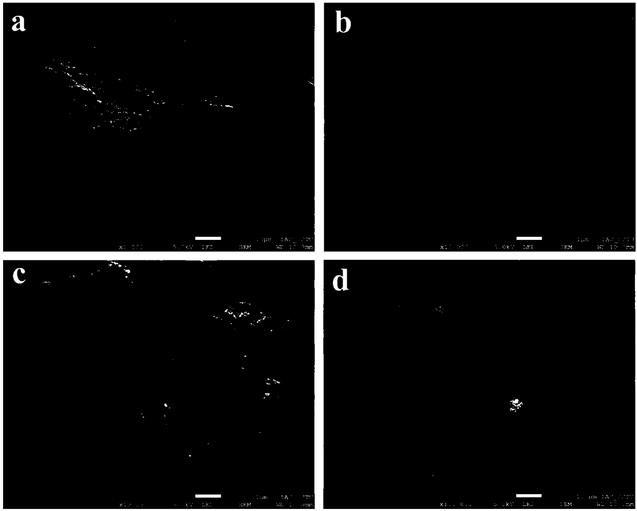 A kind of negative electrode composite material and its preparation method and application