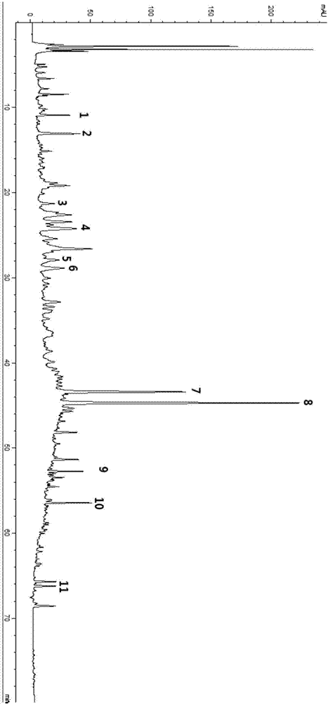 A kind of establishment method of dendrobium characteristic fingerprint