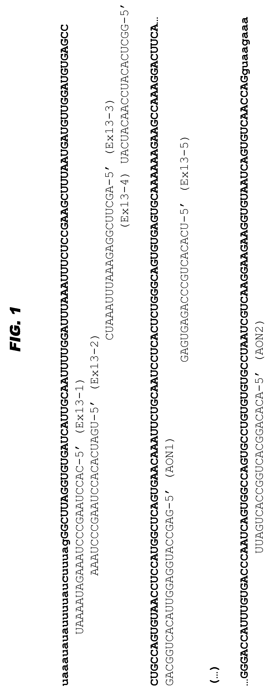 Antisense oligonucleotides for the treatment of eye disease