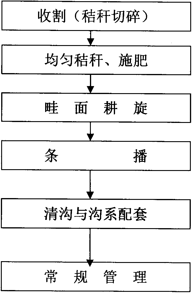 Novel production method for wheat and corn crop rotation