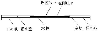 Method for detecting early pregnancy of cows