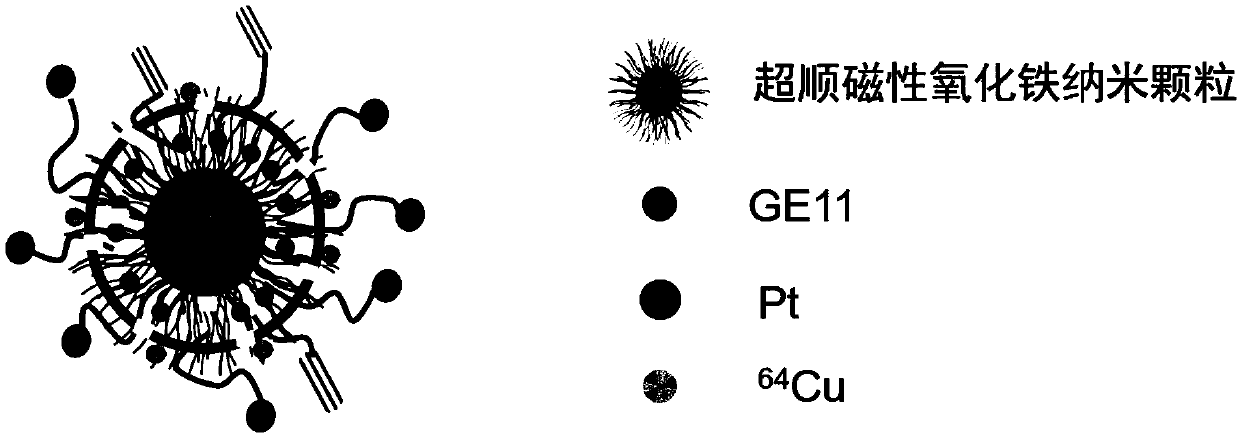 EGFR receptor-targeted tumor diagnosis and treatment radioactive nanoparticles and preparation method thereof