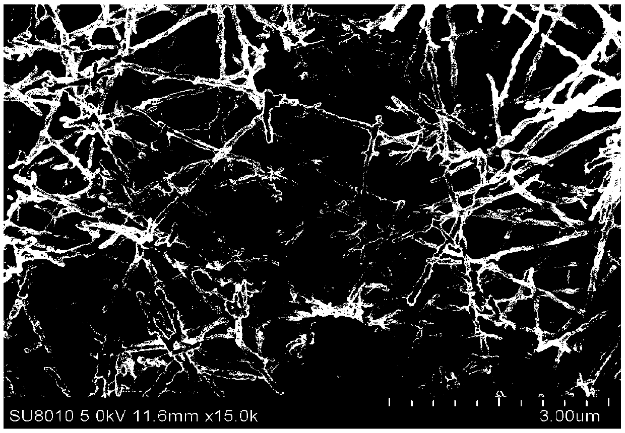 Electrode preparation method and system based on mullite fiber catalytic material