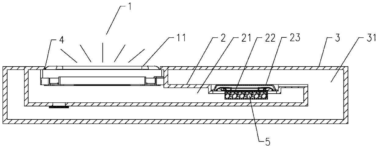 Acoustic device and electronic apparatus