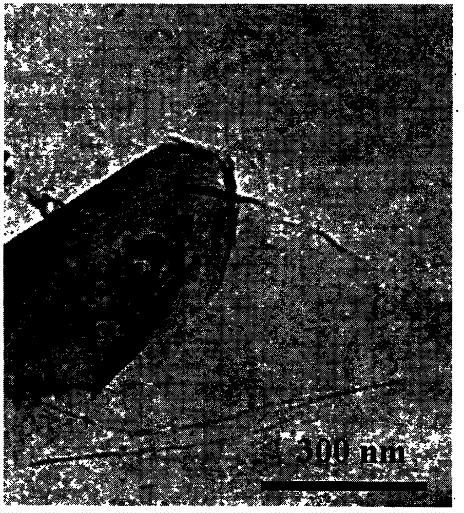 Manufacturing method of label-free electrochemical immunosensor for detecting zearalanol