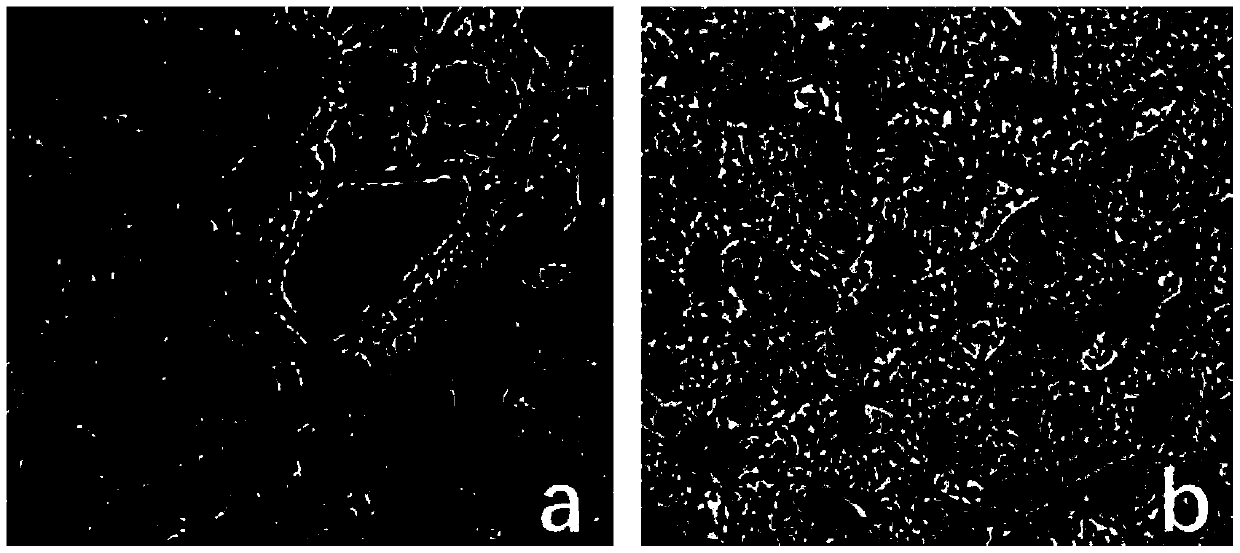 Normal-temperature mechanical perfusion system capable of extending liver source