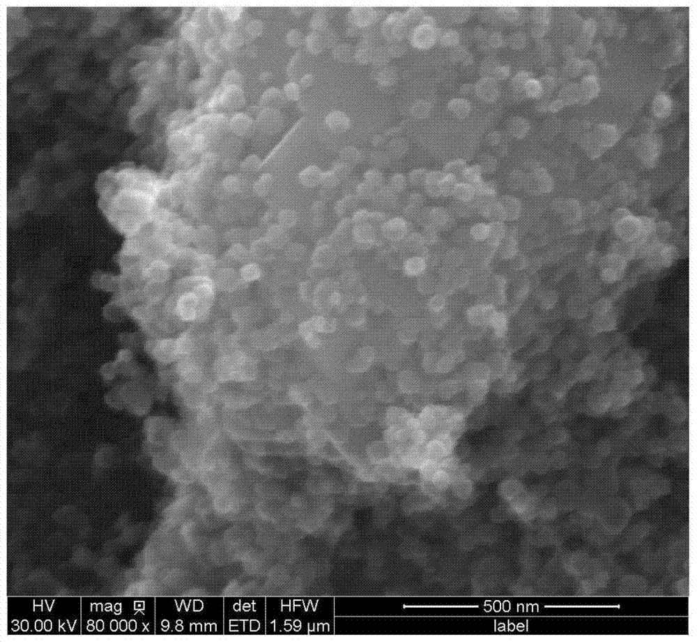 Preparation method for molecularly imprinted solid-phase extraction columns of anthraquinone sensitizing disperse dyes