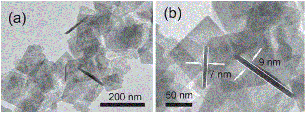 Method for preparing morphology and constitution controllable WO3 nano sheet/g-C3N4 nano composite material