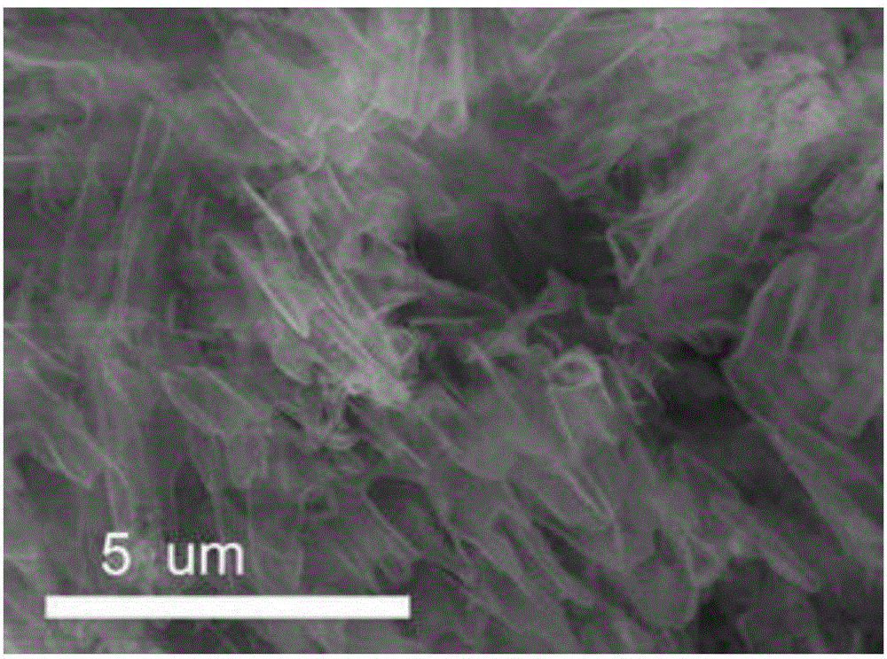 Method for preparing morphology and constitution controllable WO3 nano sheet/g-C3N4 nano composite material