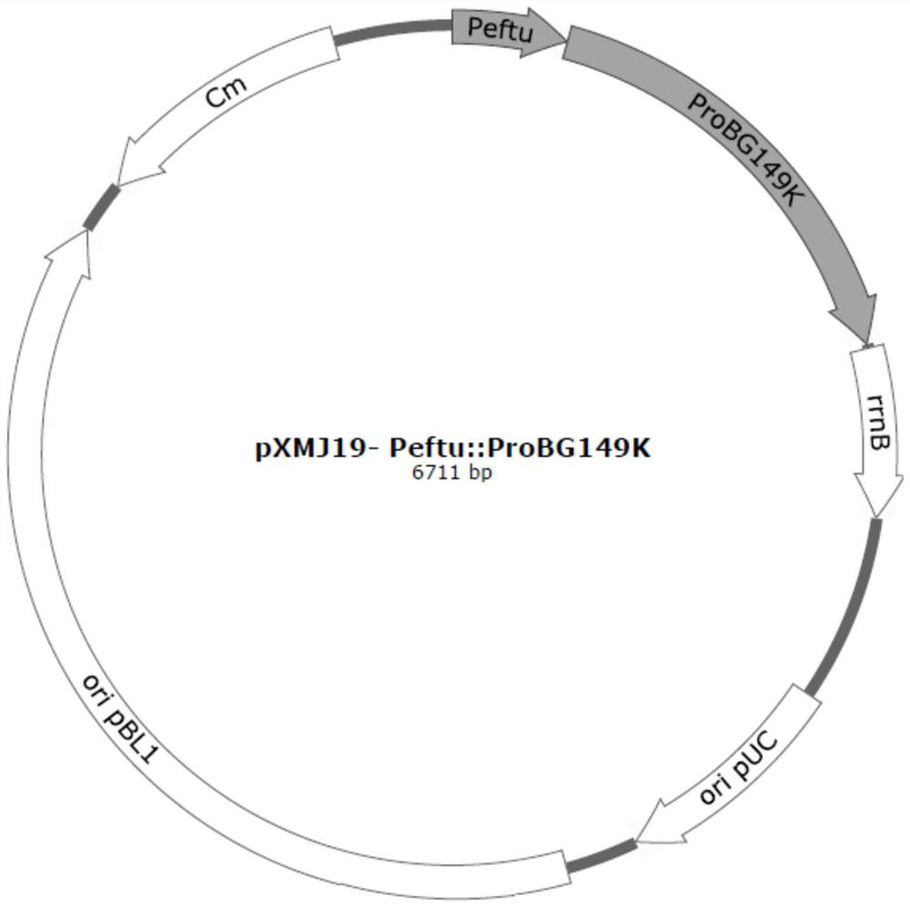 Method for improving production capacity of amino acid producing strain