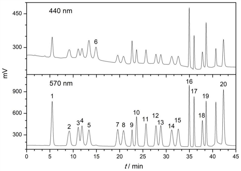 Method for simultaneously determining 20 free amino acids in cosmetics by dispersive solid-phase microextraction-amino acid automatic analyzer method