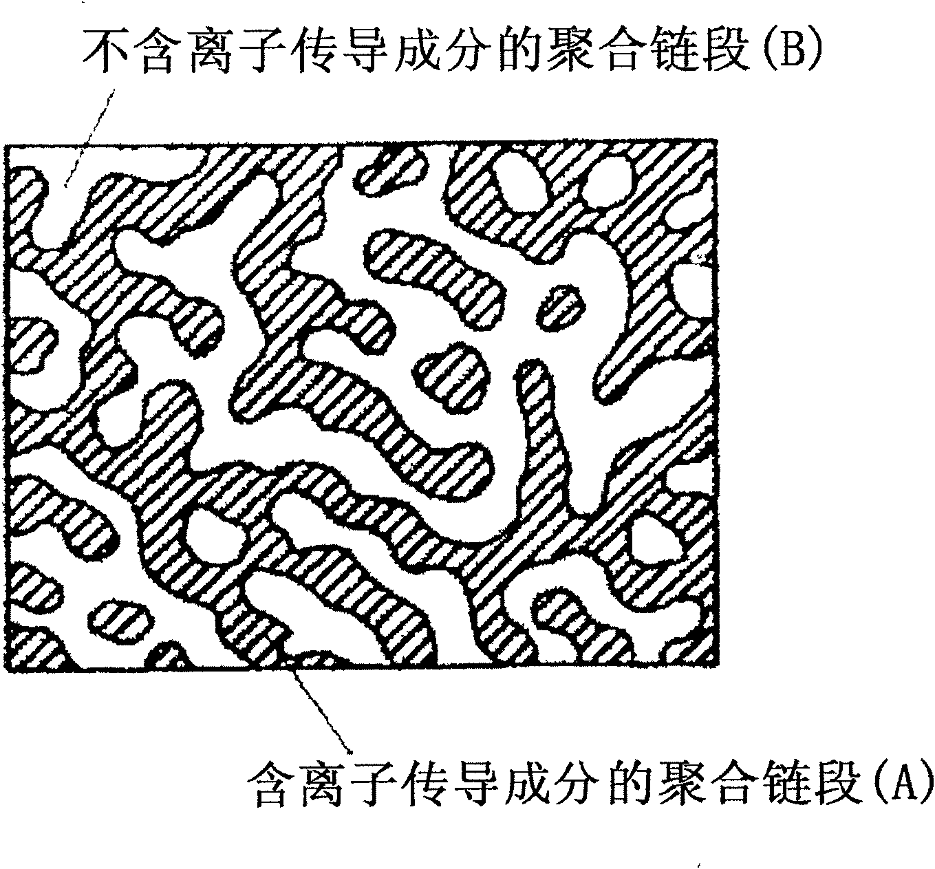 Proton conductive membrane and its producing process