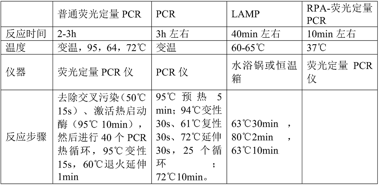 RPA kit for detecting cyprinid herpesvirus 2, CyHV-II in real time at constant temperature, and primer and probe special for RPA kit