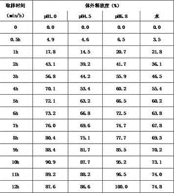 Lorcaserin hydrochloride sustained-release capsules and preparation method thereof