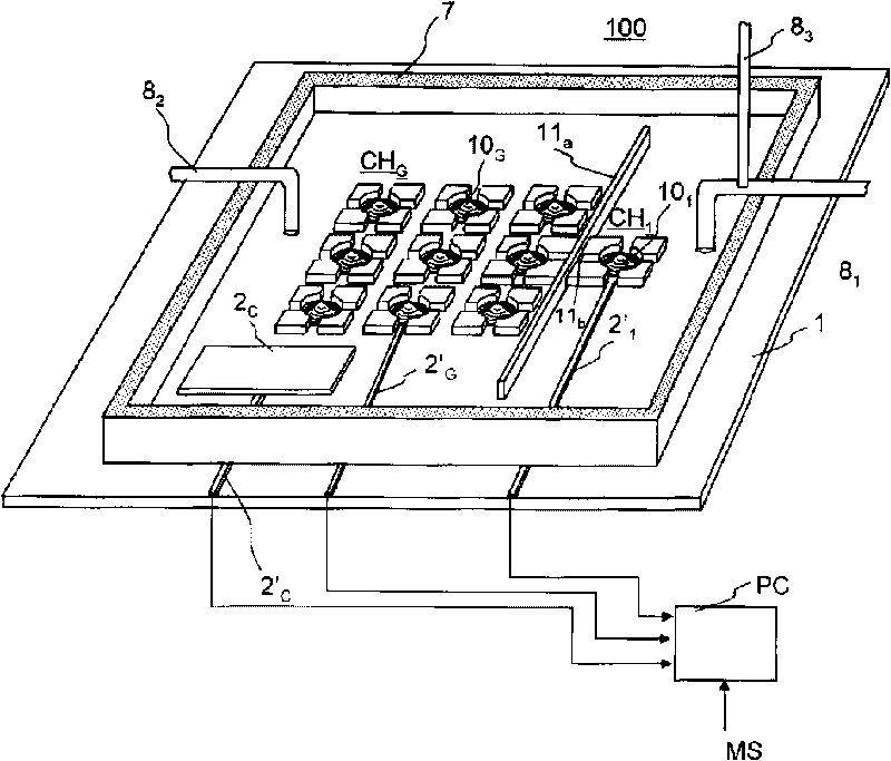 Model cell chip, apparatus for evaluating drug effect using the model cell chip and method of evaluating drug effect