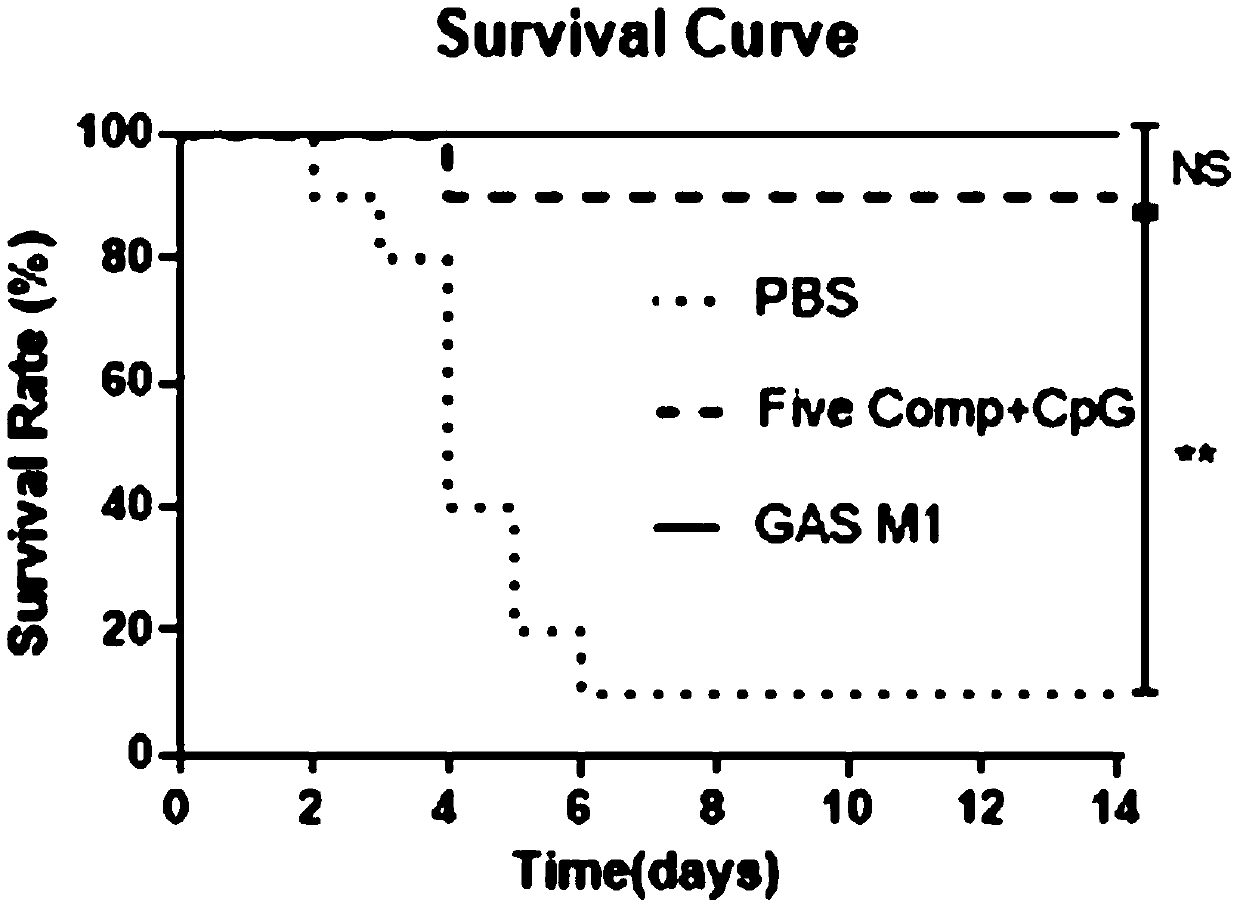 A broad-spectrum multiple subunit vaccine for preventing type a streptococcal infection