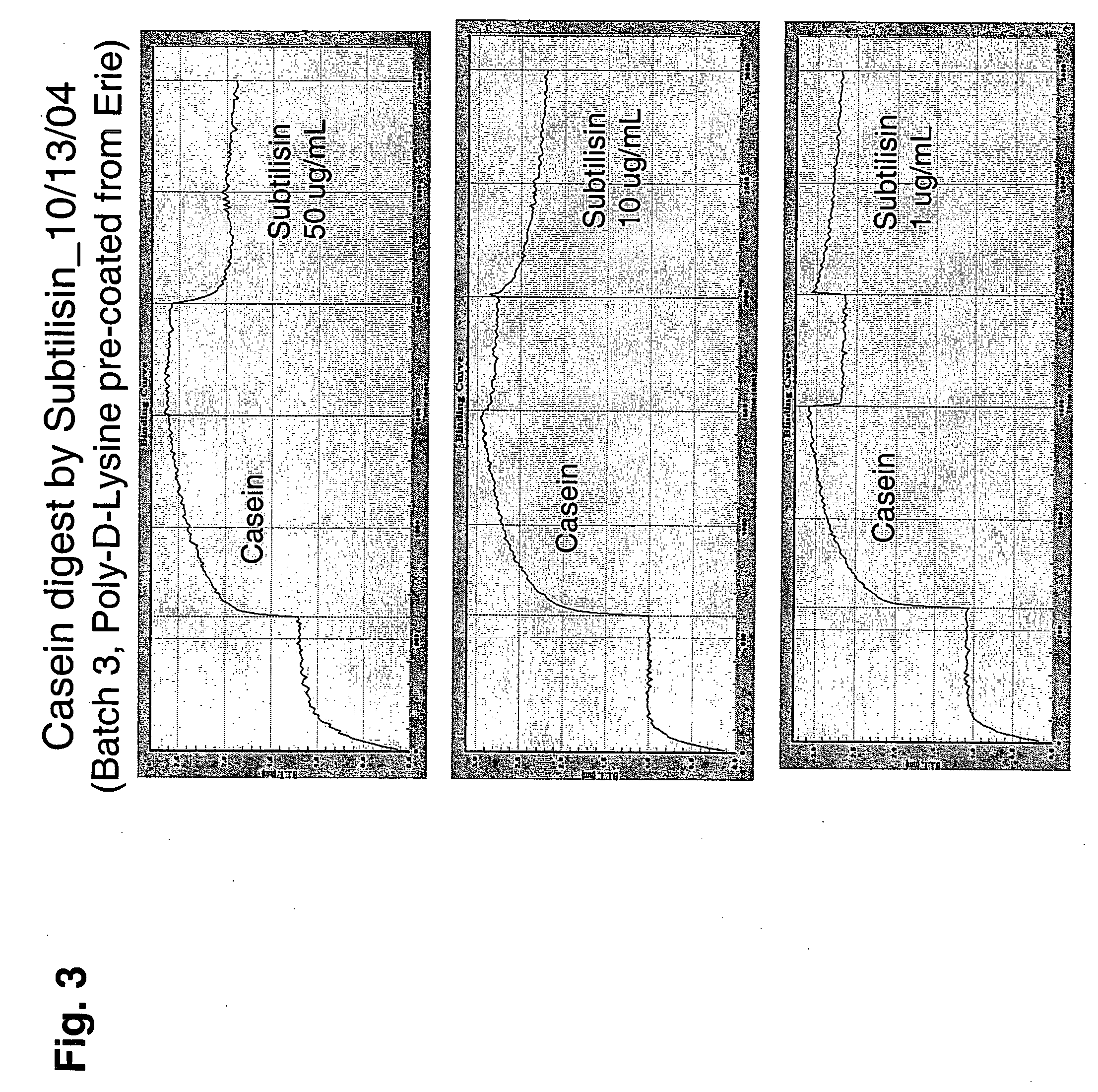 Enzyme activity measurement using bio-layer interferometry