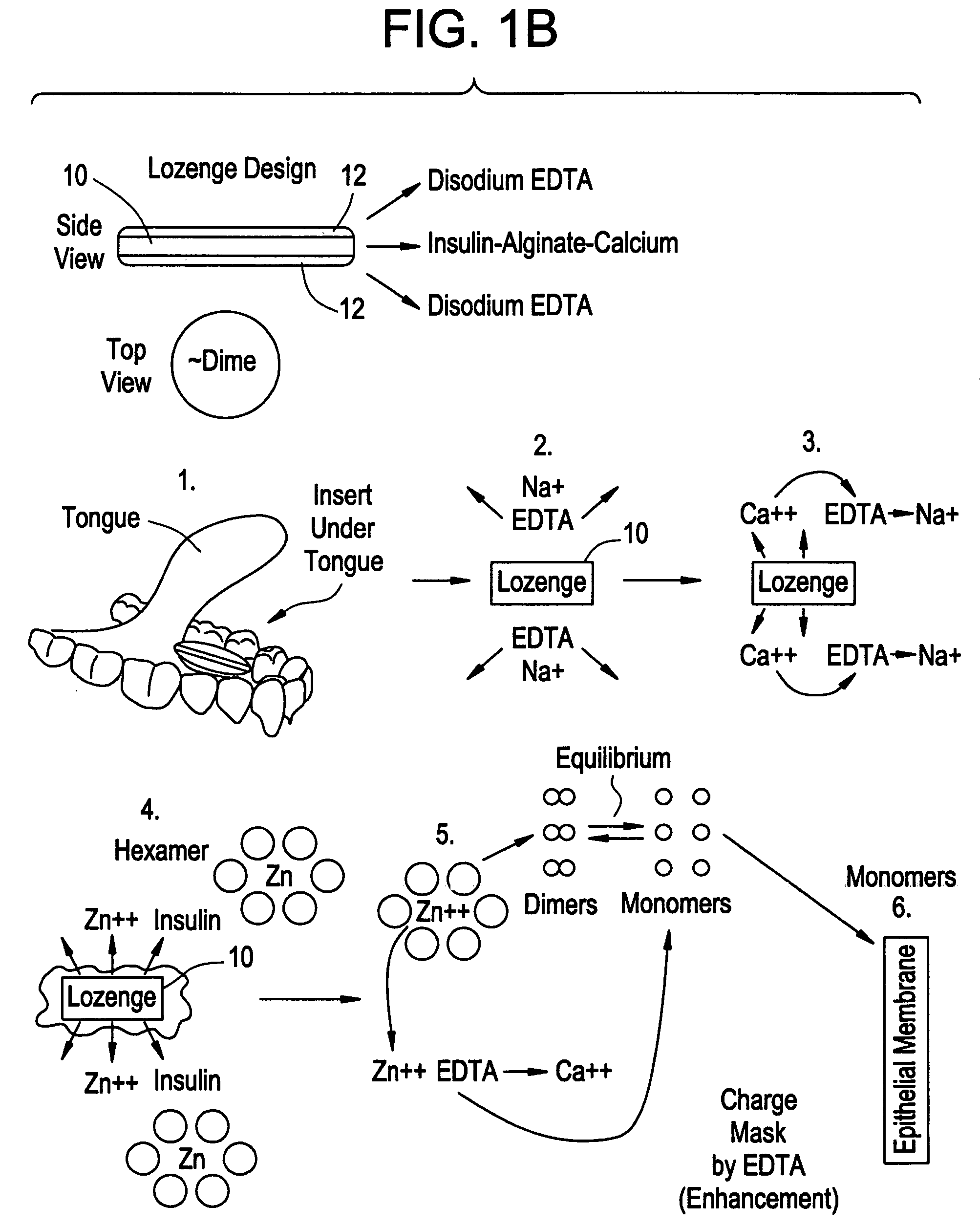 Rapid acting drug delivery compositions