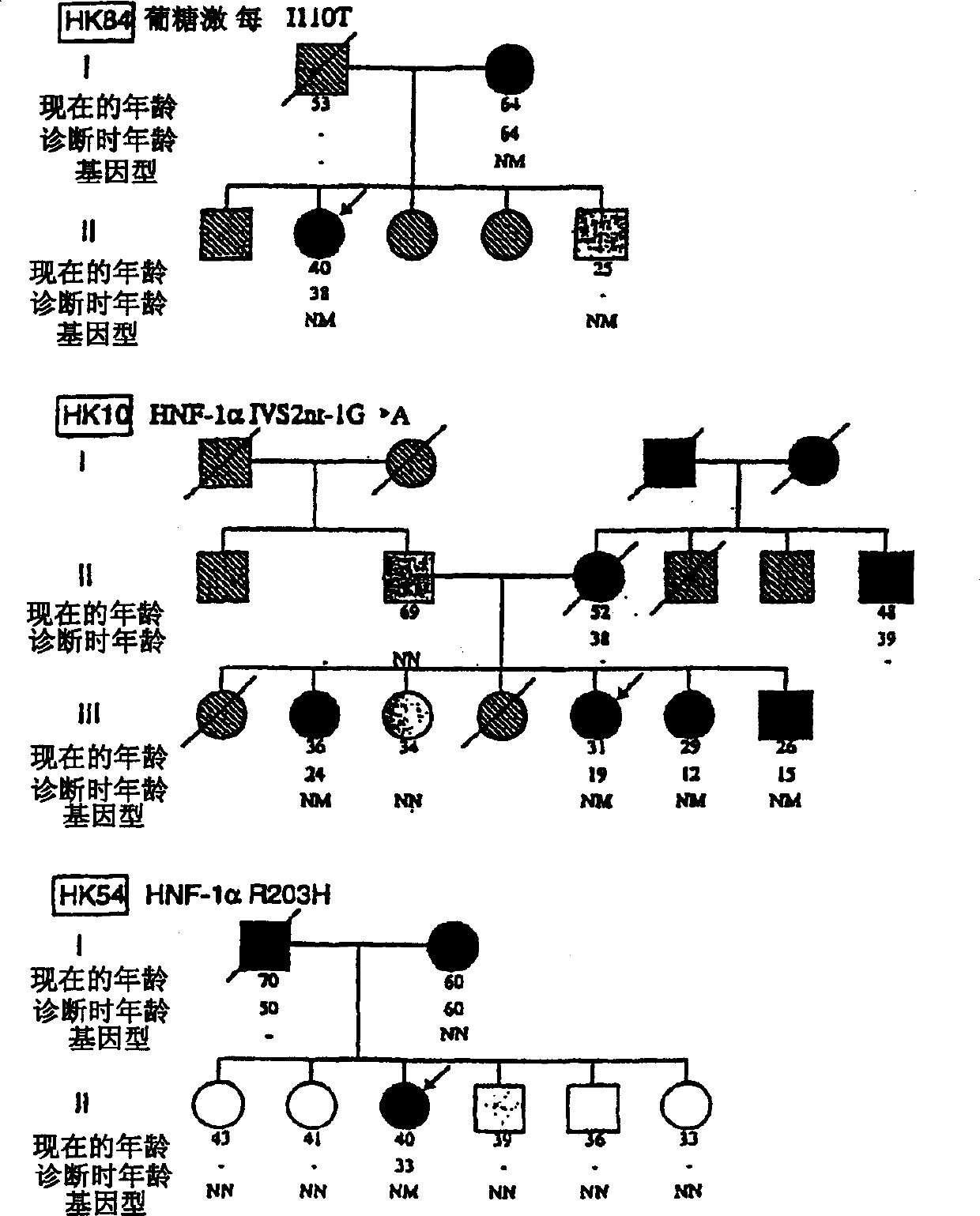 Method for estimating danger of diabetes typ B developed in the human species of Chinese bloodline and composition