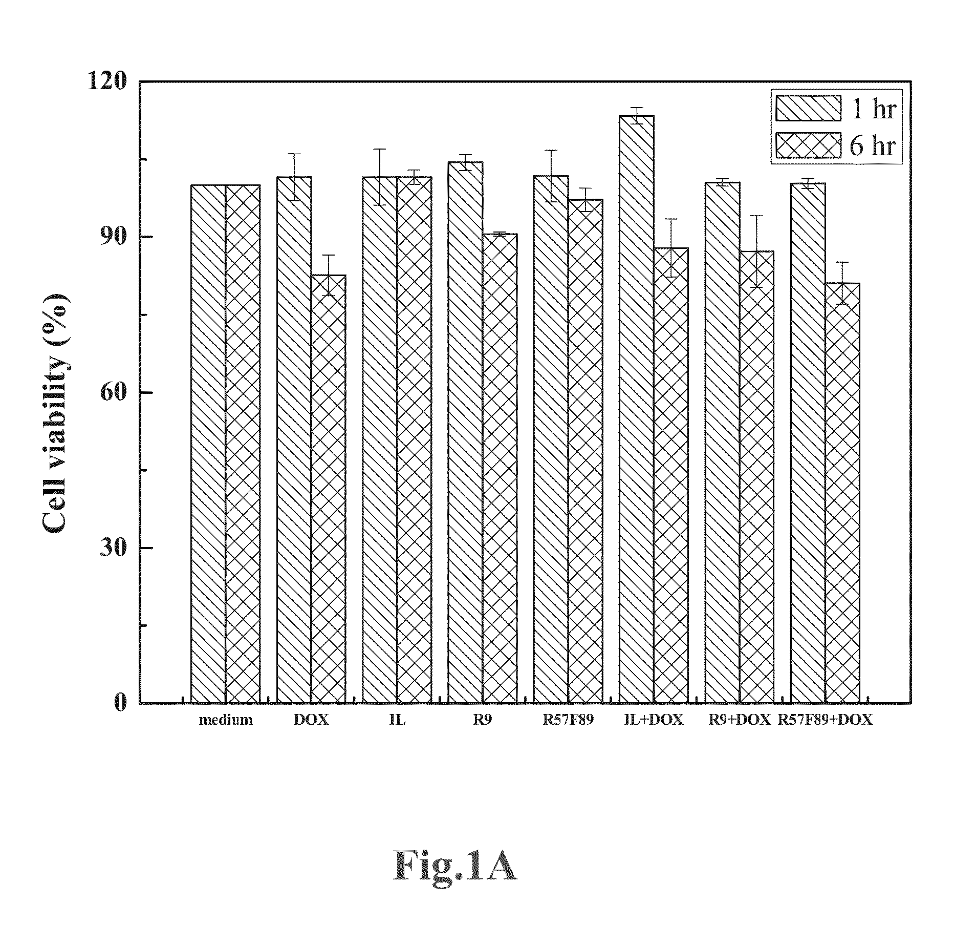 Cell-Penetrating Drug Carrier and the Application Thereof