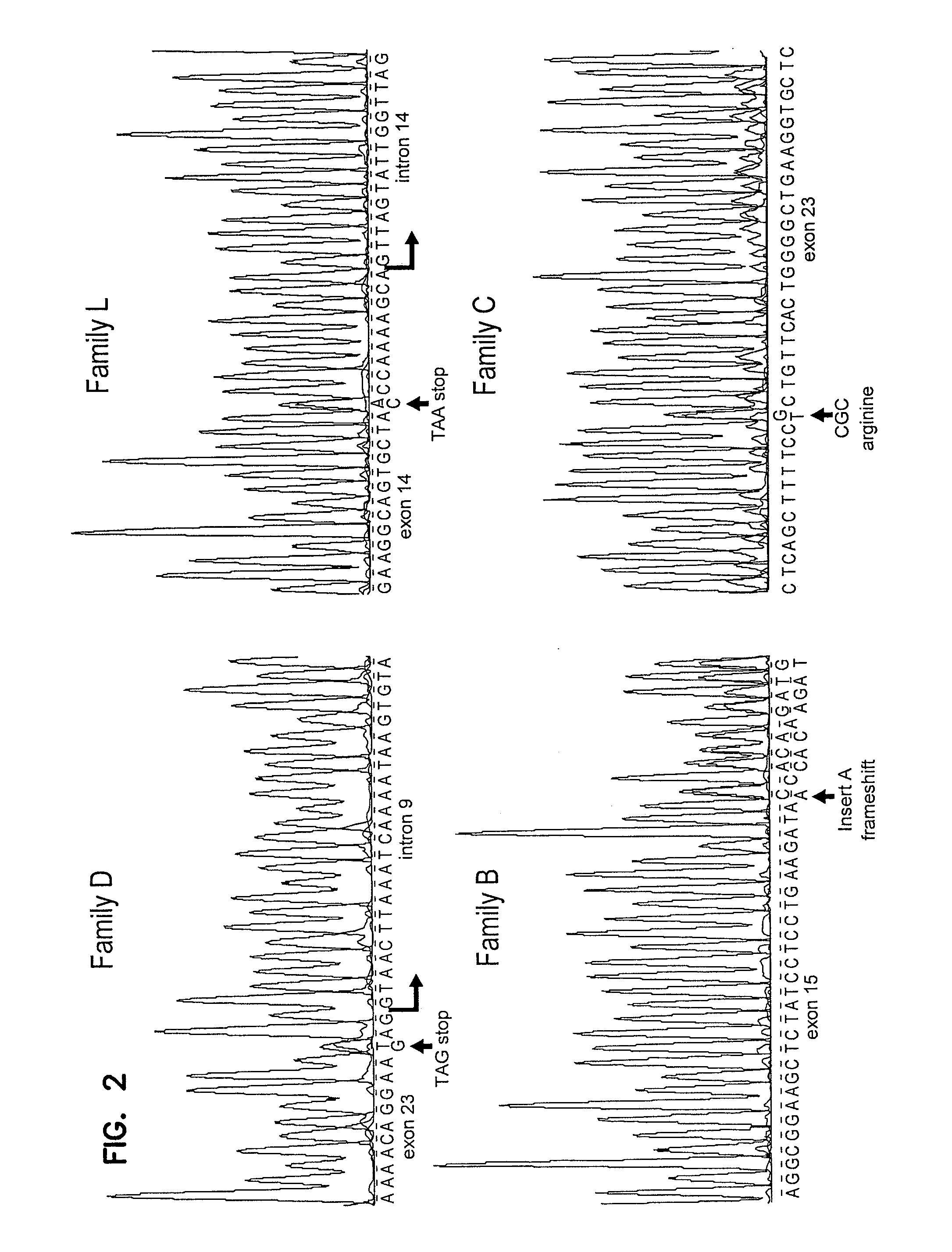 Compositions, methods and kits to detect dicer gene mutations