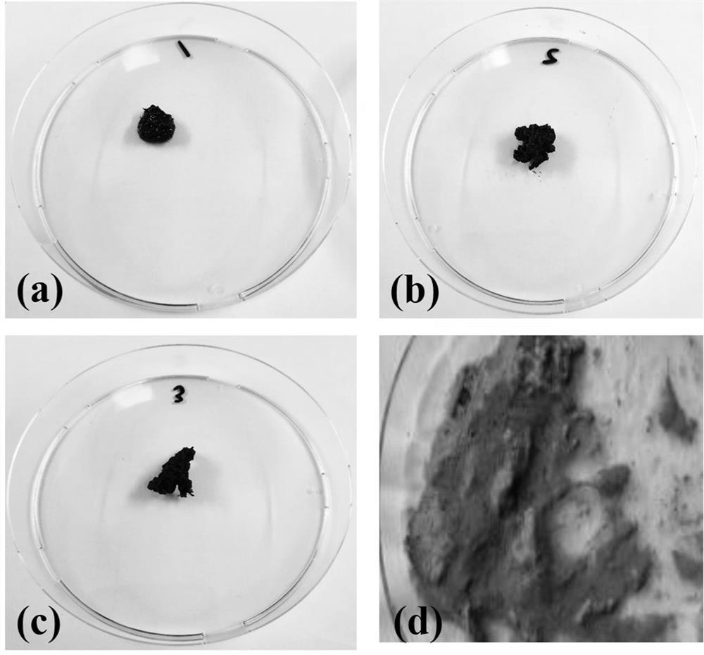 A method for efficiently extracting intestinal contents and extracellular DNA of earthworms